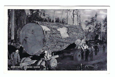 Northwest Logging Scene Vintage Postcard picture