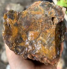 Silver Creek Junction Petrified Wood picture