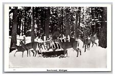 Beechwood Michigan Deer in Winter Scene Chrome Postcard Posted 1960 picture