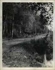 1945 Press Photo Moose Runs Across Road, Sweden - nee45285 picture