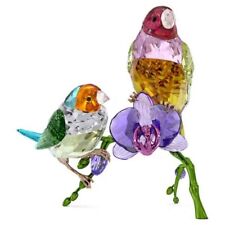 SWAROVSKI Idyllia SCS Annual Edition 2024 Gouldian Finches 5670031.NEW IN BOX picture