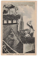 c1917 Postcard: Nid de Cigognes (Storks Nest) Strasbourg, France picture
