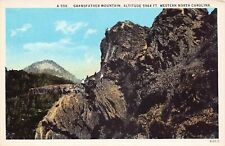 Linville NC North Carolina Blue Ridge Grandfather Mountains Vtg Postcard V5 picture