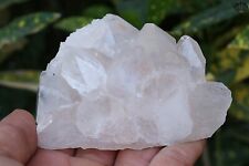 232 Gm Natural White Samadhi Quartz Cluster Rough Healing Rocks Minerals picture