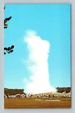 Old Faithful Geyser Yellowstone National Park Postcard picture