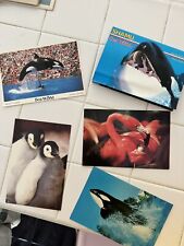 Vintage Lot Seaworld Postcard Shamu Animals 80s picture