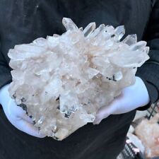 10.29LB Natural clear quartz white crystal cluster backbone mineral specimen picture
