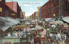 VINTAGE CHICAGO IL POSTCARD HORSES VENDORS ON SOUTH WATER STREET c1910 061122  picture