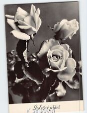 Postcard Beautiful Rose Flowers picture