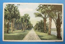 Mound Grove FL, Florida,Date Palm Drive. vintage Detroit Publishing PC Postcard picture