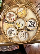 1970 Vintage 7 Pc Set Bamboo & Pressed Butterfly Serving Tray and 6 Coaster  picture