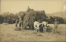 RPPC oxen team hay wagon farm farmers Velox real photo 1907-20 unused UDB picture