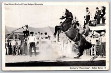 Western~Paul Gould Bucked From Badger Mountain Horse~B&W Photo~Vintage Postcard picture