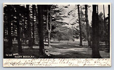 Vintage Postcard Olcott Beach NY In the Park UDB 1906 K7 picture