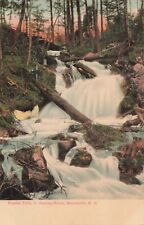 Crystal Falls in Deming Brook Woodsville New Hampshire NH 1909 Postcard picture
