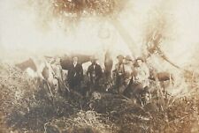 Antique 1890s Photo Deer Hunting Hunters Horses Dogs Shotguns Rifles picture