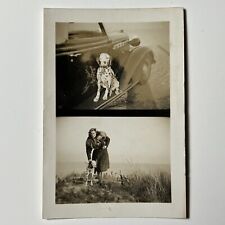 1938 DALMATIAN DOG sitting on Car Step Rail REFLECTION and w Woman double Photo picture