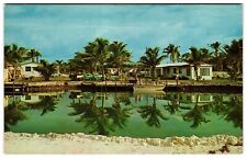 Florida's Palm Resort Islamorada Florida Keys Old Classic Cars Postcard picture