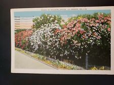 Roses at Hillside Office la Grange GA Linen Vintage Postcard picture