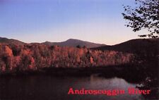 Androscoggin River Maine Vintage View Postcard Unposted Unposted picture