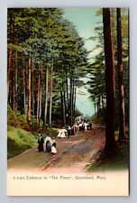 Groveland MA-Massachusetts Entrance To The Pines Ladies & Gents Vintage Postcard picture