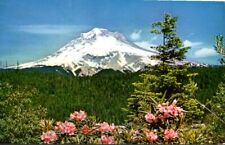 Postcard - Mt. Hood and Rhododendrons, Oregon   2710 picture