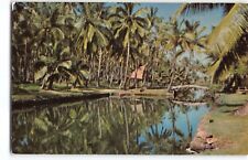 Tropical Lagoon Coco Palm Lodge later; Coco Palms Hotel c1950's Kauai Hawaii -HC picture
