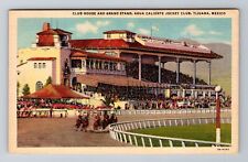 Tijuana Mexico Club House Grandstand Agua Caliente Jockey Club, Vintage Postcard picture