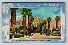 Pasadena CA-California, Scenic Palm Lined Avenue, Greetings Vintage Postcard picture