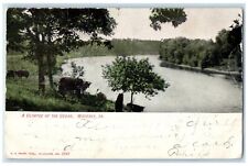 1907 Glimpse Cedar River Lake Exterior Waverly Iowa IA Vintage Antique Postcard picture