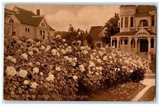 1910 Flowers Garden House Rose Hedge Portland Oregon OR Vintage Antique Postcard picture