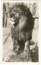 El Monte California CA ~ Gay's Lion Farm RPPC Real Photo 1930's #1 picture