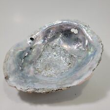 Abalone Shell Purple And Blue Approximately 8”L x 6.25” W  Trinket Bowl Decor picture