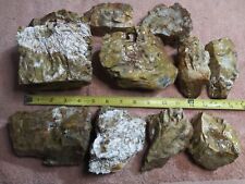 18 Lbs. Large Pieces Petrified Wood - Great Color & Pattern From S. Utah #PET3 picture