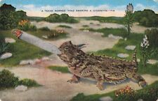Anthropomorphic Horned Toad Smoking a Cigarette TX Texas 1940 Postcard B488 picture