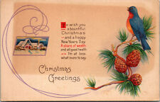 Vtg 1910s Christmas Greetings Winter Cabin Pine Cones Eastern Bluebird Postcard picture