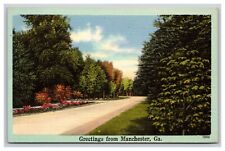 Greetings From Manchester Georgia GA Postcard picture