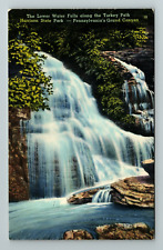 PA-Pennsylvania, Leonard Harrison State Park, Waterfall Vintage Postcard picture