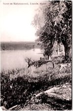 Postcard 1907 RPPC Scene on the Mattanawcock Lake in Lincoln, ME picture