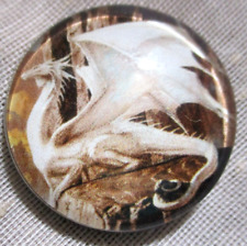 NEW LRG GLASS DOME PIC BUTTON LARGE WHITE DRAGON SITTING ON A LEDGE   30mm picture