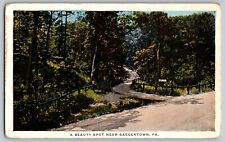 Pennsylvania PA -  A Beauty Spot Near Saegertown, Forest - Vintage Postcard picture