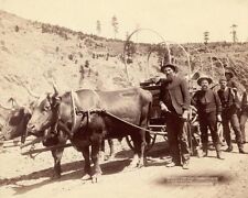 OLD WEST GOLD PROSPECTORS 1889 8x10 GLOSSY PHOTO PRINT picture