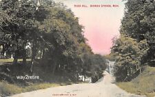 Postcard MI Berrien Springs River Drive To St Joseph River Bridge Michigan 1914 picture