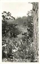 RPPC Mt Hood Snowcapped River OR  Real Photo P181 picture