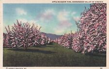 Apple Blossom Time Shenandoah Valley Virginia VA 1947 Staunton Postcard C08 picture