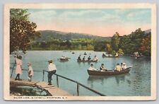 Silver Lake New York, People Boating, Catskill Mountains, Vintage Postcard picture