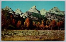 Teton Range Grand National Park Wyoming Forest Cancel 1962 Vintage PM Postcard picture