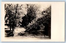 Frontenac Minnesota MN Postcard RPPC Photo View Of Wells Creek c1930's Vintage picture