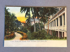 Florida, FL, Palm Beach, Rotograph, Royal Poinciana Garden & Veranda, ca 1905 picture