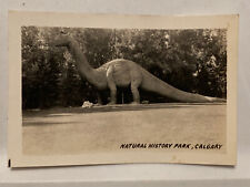 1943 Dinosaur Statue Natural History Park, Calgary Alberta Canada Vintage Photo picture